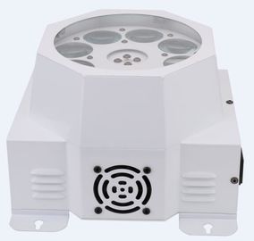 RGBW 4 en 1 llevó las luces/la luz 8 x 10w de la etapa del disco de los gobos del haz del Cree del efecto del haz de Dmx