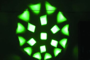 luces LED principales móviles del ojo grande de la abeja 19pcs con el enfoque para la iluminación de la demostración del acontecimiento