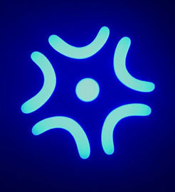 9 colores + luz principal móvil blanca del punto del LED/cabeza móvil del mini lavado del LED