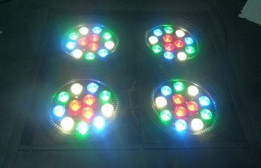 Los ojos llevados Rgbw DJ de la luz 4 de la anteojera de Dmx de la audiencia efectúan la iluminación de la luz profesional