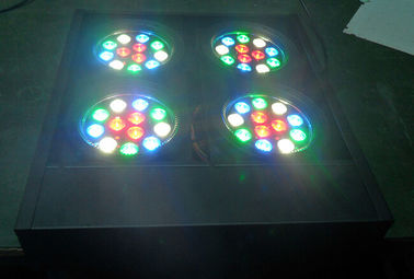 Los ojos llevados Rgbw DJ de la luz 4 de la anteojera de Dmx de la audiencia efectúan la iluminación de la luz profesional